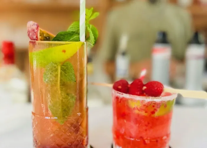 فندق دي لوندريه مينتون